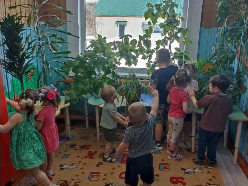 Экскурсия в уголок природы "Комнатные растения".